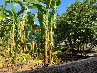 Bán đất 3 thoáng mặt phố, phú viên, bồ đề ,long biên 110m , mặt tiền 7m   giá  21 tỷ 0