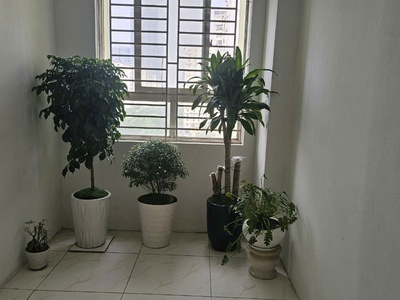 Chính chủ cho thuê căn hộ chung cư B10 Nam Trung Yên 72m2 4