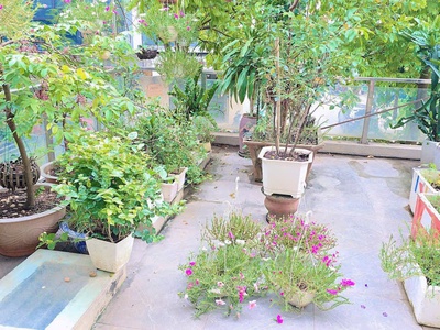 Nhanh tay sở hữu nhà lk hud vân canh vỉ hè ôtô tránh trục kinh doanh nhỉnh 19tỷ 110m x 4t 4