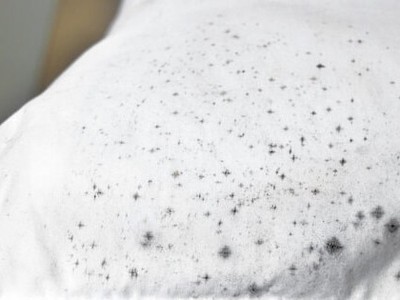 Tẩy trắng và làm sạch công nghiệp 4