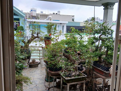 CẦN BÁN GẤP   NHÀ 3 Tầng ĐỘC LẬP Ngõ Rộng 7M   Đường NGÔ GIA TỰ  5