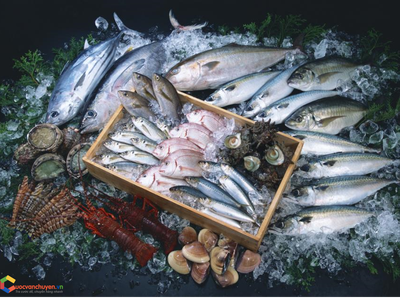 Thủ tục nhập khẩu thủy sản tươi sống để làm thực phẩm 0