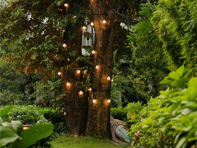 Tiểu cảnh trong nhà đẹp   Mang thiên nhiên gần hơn với không gian sống 0