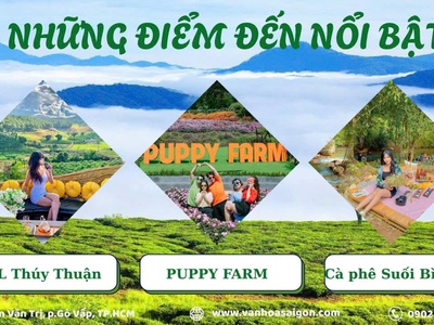 Tour Đà Lạt 3 ngày 3 đêm 2