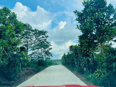 Siêu hot bán đất lộc an- bảo lâm- lâm đồng view hồ, sổ hồng sẵn, gần cao tốc 3