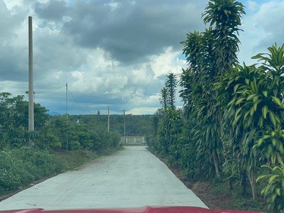 Siêu hot bán đất lộc an- bảo lâm- lâm đồng view hồ, sổ hồng sẵn, gần cao tốc 2