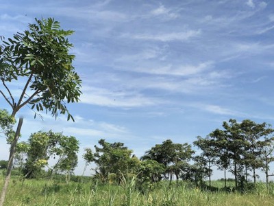 Bán đất công 1100m2 đất, cách phà cát lái chỉ 3,5km, phú huux, nhơn trạch,đồng nai 2