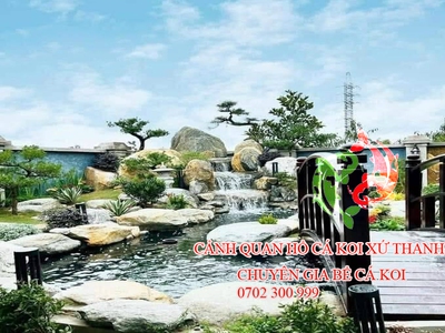Thiết kế đẹp thanh hoá, thiết kế sân vườn đẹp , thiết kế bể cá koi đẹp chữa bệnh cá koi thanh hoá. 1