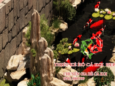 Thiết kế đẹp thanh hoá, thiết kế sân vườn đẹp , thiết kế bể cá koi đẹp chữa bệnh cá koi thanh hoá. 2