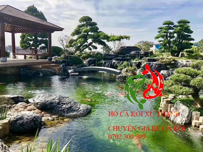 Thiết kế đẹp thanh hoá, thiết kế sân vườn đẹp , thiết kế bể cá koi đẹp chữa bệnh cá koi thanh hoá. 3