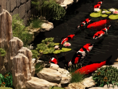 Thiết kế đẹp thanh hoá, thiết kế sân vườn đẹp , thiết kế bể cá koi đẹp chữa bệnh cá koi thanh hoá. 4