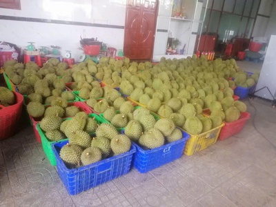 Chính chủ cần bán nhà xưởng có 5 kho lạnh lớn huyện châu thành - tỉnh long an 3