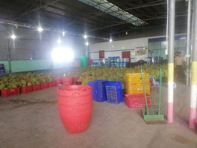 Chính chủ cần bán nhà xưởng có 5 kho lạnh lớn huyện châu thành - tỉnh long an 1