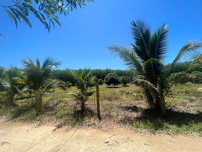 Bán đất vườn tại thôn 5, xã diên đồng, huyện diên khánh, khánh hòa   giá 950 triệu 1