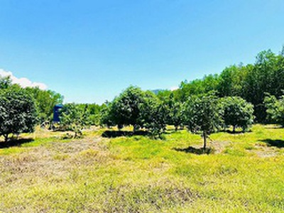 Bán đất vườn tại thôn 5, xã diên đồng, huyện diên khánh, khánh hòa   giá 950 triệu 2