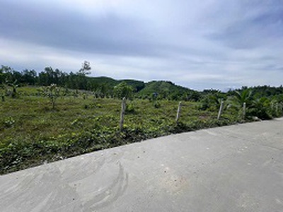 Bán đất vườn tại thôn 5, xã diên đồng, huyện diên khánh, khánh hòa   giá 950 triệu 4