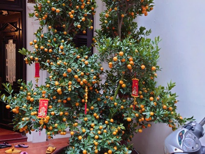 Hot nhà đất đẹp- giá tốt cần bán nhanh biệt thụ sân vườn khu phố ẩm thực đảo ngọc ngũ xá p.trúc bạch 2