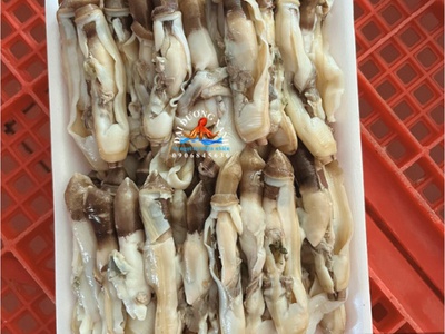 Giá thịt ốc móng tay 0