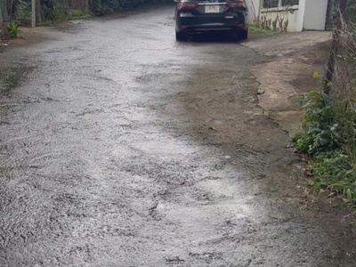 Bán đất sẵn 300m thổ cư đường Trần Phú, phường B Lao, Tp. Bảo Lộc, Tỉnh Lâm Đồng 0