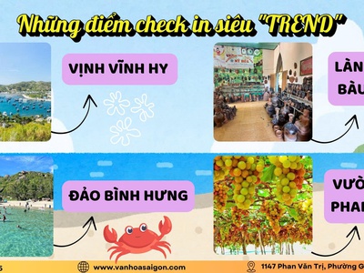 Ngắm san hô, ăn hải sản   đi ngay Bình Hưng cùng SGC Tourist thôi    1