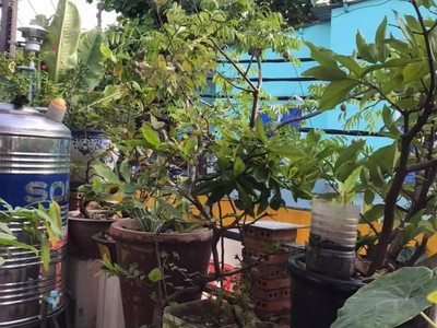 Nhà đẹp 2 mặt hẻm thống nhất gò vấp 70m , 4pn, ở ngay, giá 6 tỷ 8 tl 4