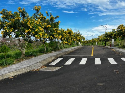 Đánh thức giấc mơ sống xanh lô đất biệt thự sinh thái TP. Bảo Lộc giá chỉ hơn 1,5 tỷ 1