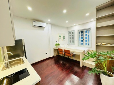 Bán nhà phân lô liễu giai, ba đình - 56m x 5t - ô tô - kinh doanh - dòng tiền 60tr/th 1