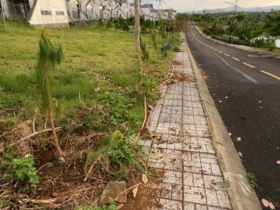 Đánh thức giấc mơ sống xanh lô đất biệt thự sinh thái TP. Bảo Lộc giá chỉ hơn 1,5 tỷ 3