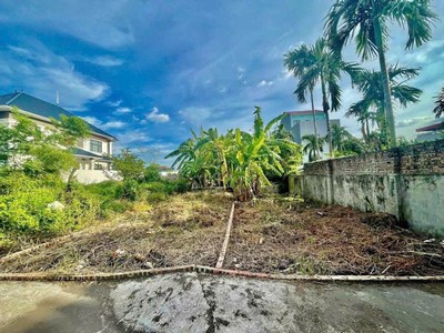 Chính chủ gửi bán 2 lô đất liền kề   vùng lõi hải phòng   sát vinhomes dương kinh 1