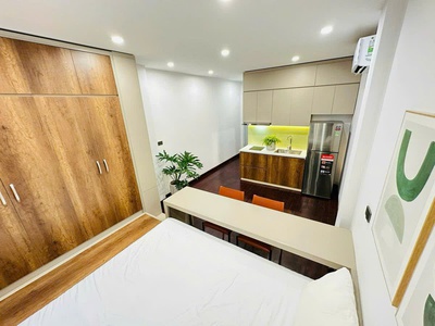 Bán nhà phân lô liễu giai, ba đình - 56m x 5t - ô tô - kinh doanh - dòng tiền 60tr/th 2