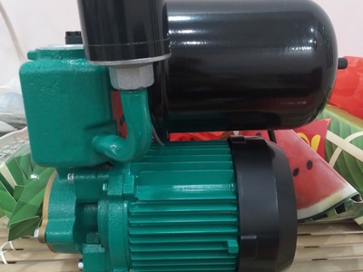 Máy bơm tăng áp Wilo model: PW-175EA 1