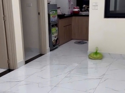 Cho thuê căn hộ 1ngu chung cư Hoàng Huy Lạch Tray Đổng Quốc Bình , Ngô Quyền . Có đồ cơ bản 1