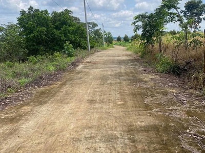 Chính chủ cần bán đất chính quy tại  xã lộc điền   lộc ninh   bình phước 0