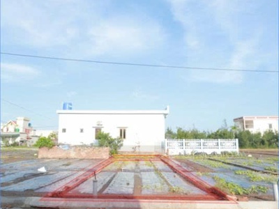 Vợ chồng em có lô đất gần biển cực đẹp cần tiền xây nhà muốn bán 2