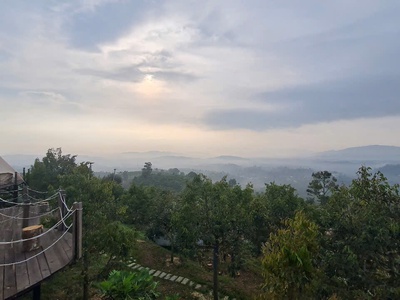 Cần bán fram bảo lâm lâm đồng 6,600m2 15 tỷ 4