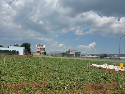 Bán 505m2 đất tổ 32 thị trấn liên nghĩa đức trọng - lâm đồng 1