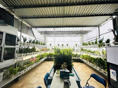 Đầu tư sinh lời bền vững   nhà mặt tiền lê đại hành, đà nẵng   trục đường 30m sầm uất bậc nhất. 1