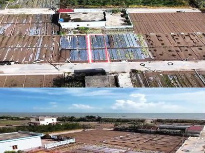 Vợ chồng em có lô đất gần biển cực đẹp cần tiền xây nhà muốn bán 2