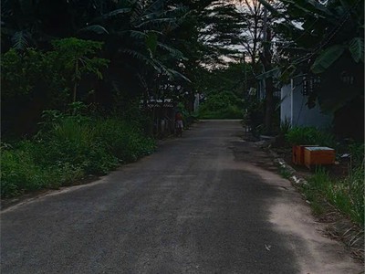 Đất đẹp - giá tốt - bán gấp lô đất tiềm năng tại tân định, bến cát, bình dương 3