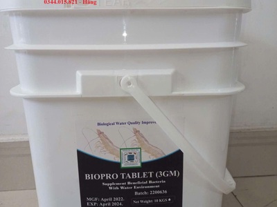 Men vi sinh nguyên liệu Mỹ, dạng bột, dạng viên, xử lý nước và đáy ao 1