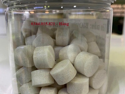 Men vi sinh nguyên liệu Mỹ, dạng bột, dạng viên, xử lý nước và đáy ao 3