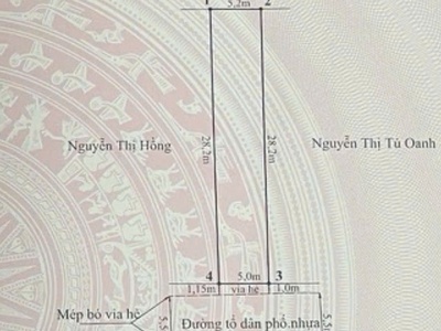 Bán đất mặt trục TDP8 thị Trấn An Dương...Giá chỉ 2x triệu/m2 0