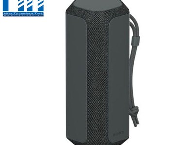 Loa Bluetooth Sony SRS-XE200 0