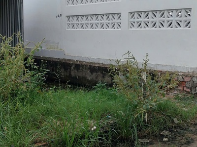 Đất nền khu phân lô thuộc KDC Hương Lộ 80, Bình Tân, giáp Quách Điêu ngã 5 Vỉnh Lộc. 1