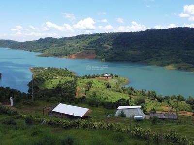 Đất Đồi View Hồ, 700m  Thổ Cư   Đón Sóng Cao Tốc, Giá Chỉ 3,5 Triệu/m 1