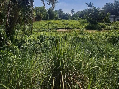 Đất mặt tiền shr đ.14m 3360m2, nở hậu   thạnh xuân 52 quận 12 2