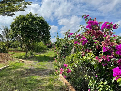 Chính chủ bán 4600m2, đất mặt tiền tại thôn 6, xã ea bar, huyện buôn đôn, tỉnh đắk lắk 2