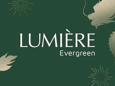 Bán gấp studio 30m    lumière evergreen - tầng 25, ban công đông nam mát quanh năm 4