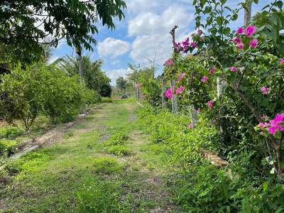 Chính chủ bán 4600m2, đất mặt tiền tại thôn 6, xã ea bar, huyện buôn đôn, tỉnh đắk lắk 3