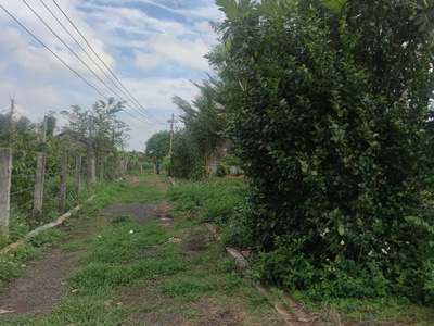 Chính chủ bán 4600m2, đất mặt tiền tại thôn 6, xã ea bar, huyện buôn đôn, tỉnh đắk lắk 4